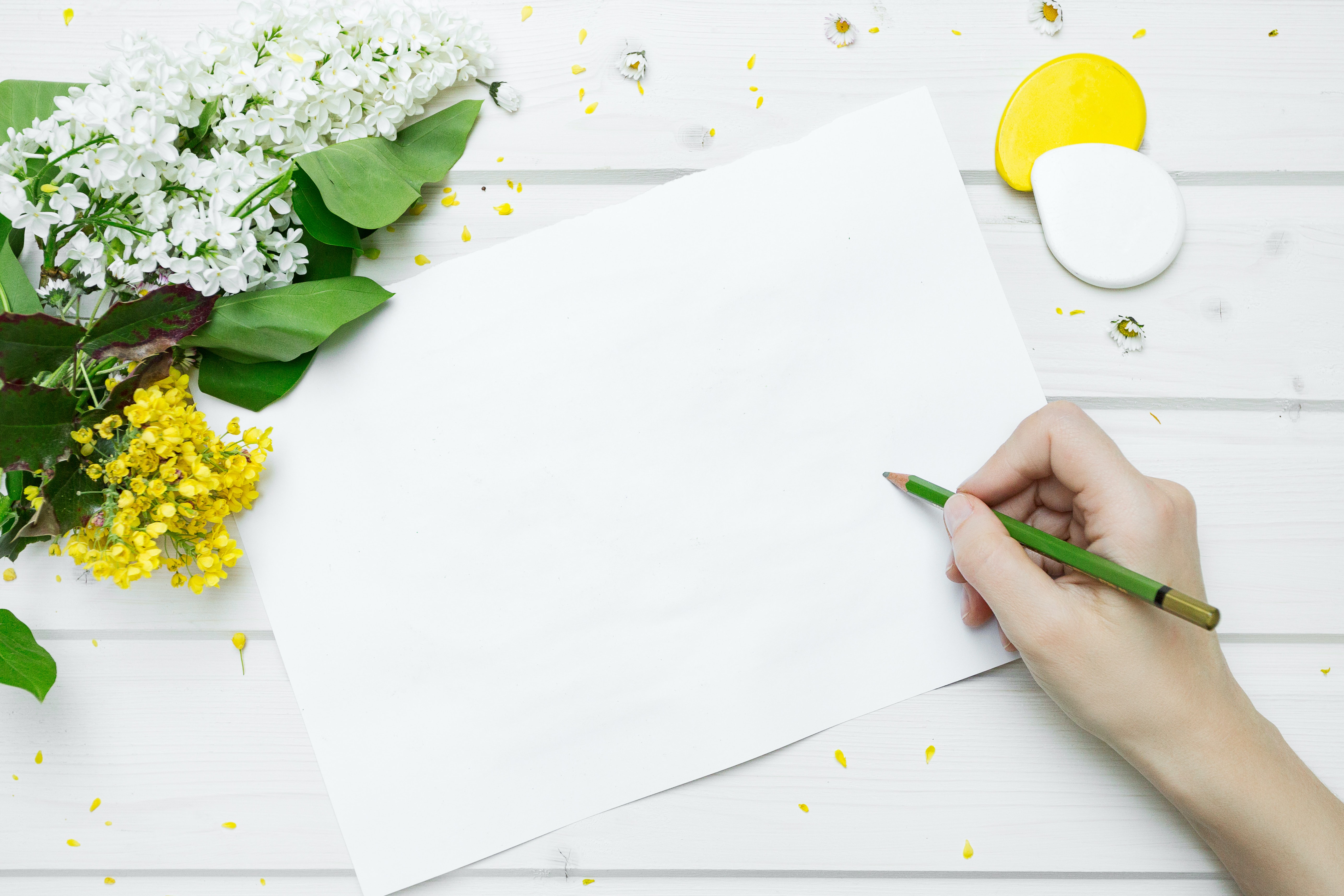Leeres Blatt und eine Hand mit Bleistift © Neven Krcmarek